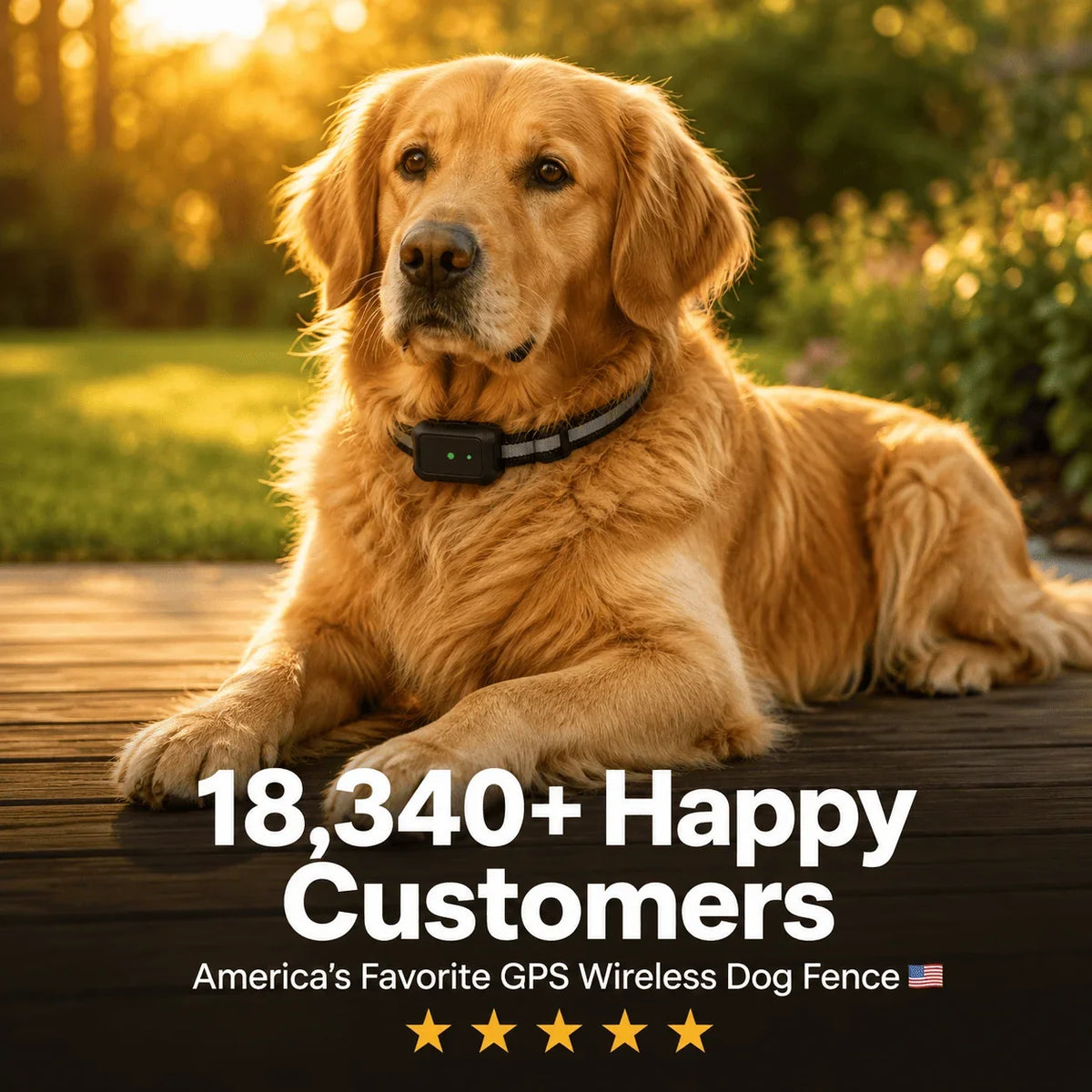 PawFence — Keep Your Escape Artist Safe at Home