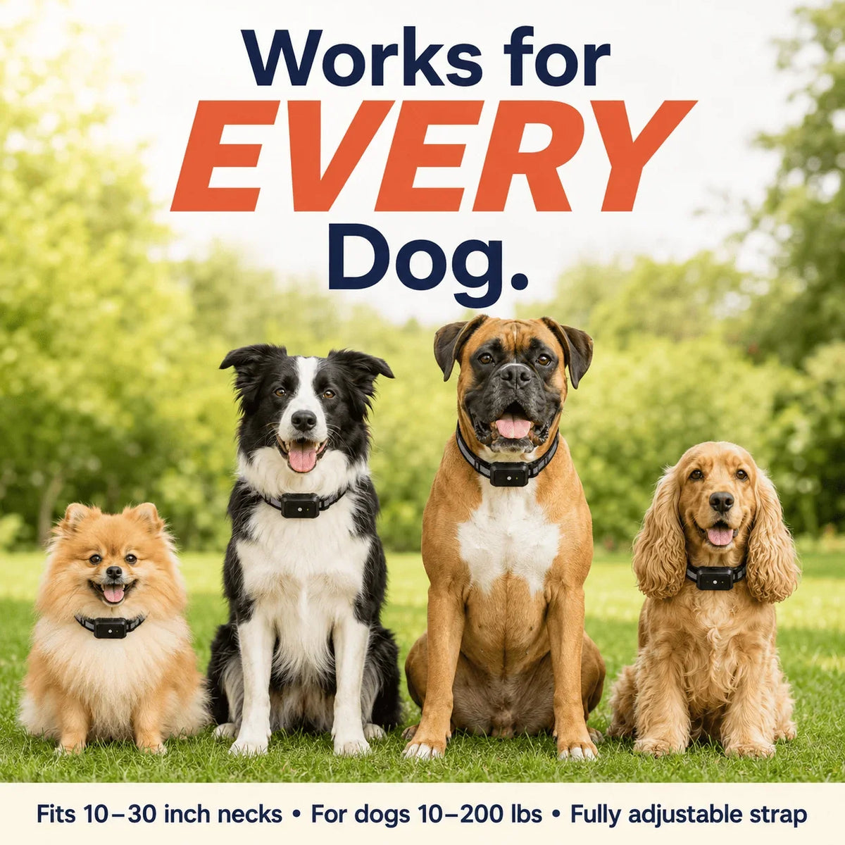 PawFence — Keep Your Escape Artist Safe at Home