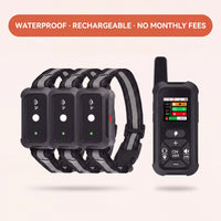 PawFence — Keep Your Escape Artist Safe at Home