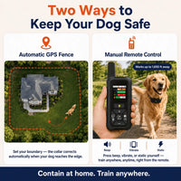 PawFence — Keep Your Escape Artist Safe at Home